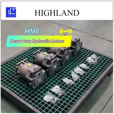 हाइड्रोलिक सिस्टम पावर घटकों के लिए विश्वसनीय गुणवत्ता LMF30 हाइड्रोलिक पिस्टन मोटर